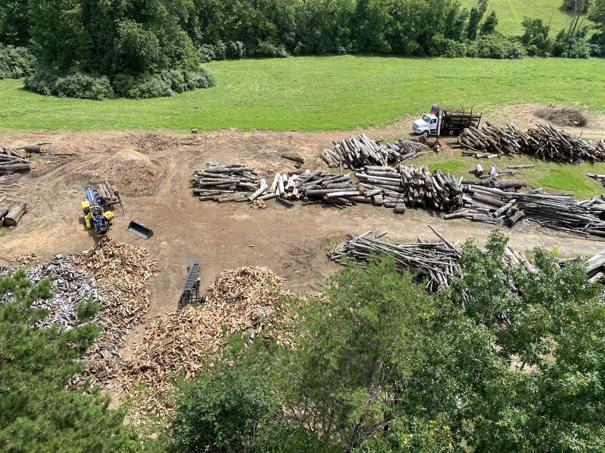 Large tree removal service in Central Virginia