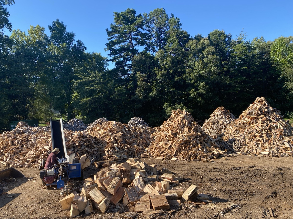 Tree care specialist in Central Virginia