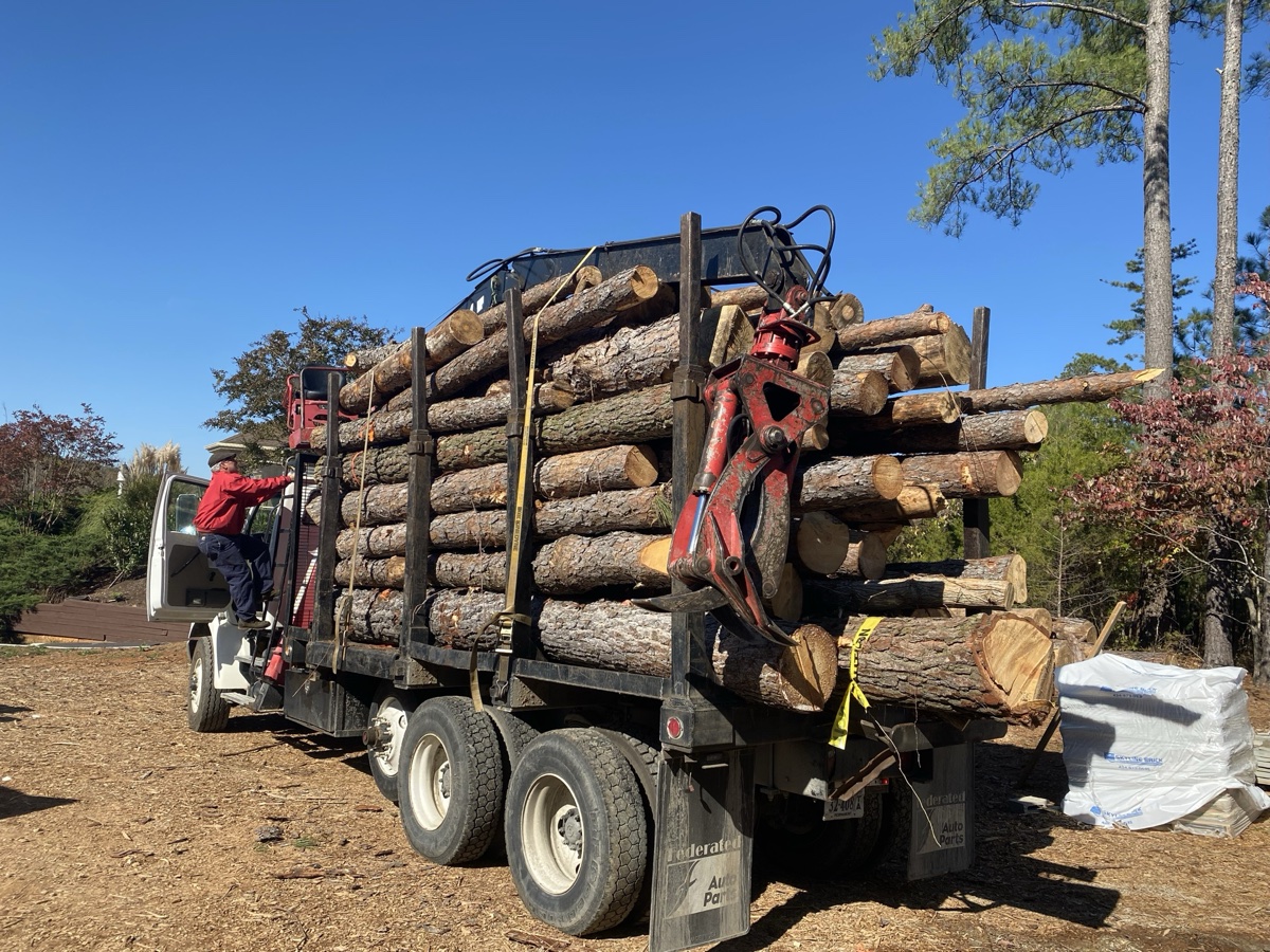 Large tree removal in Central Virginia