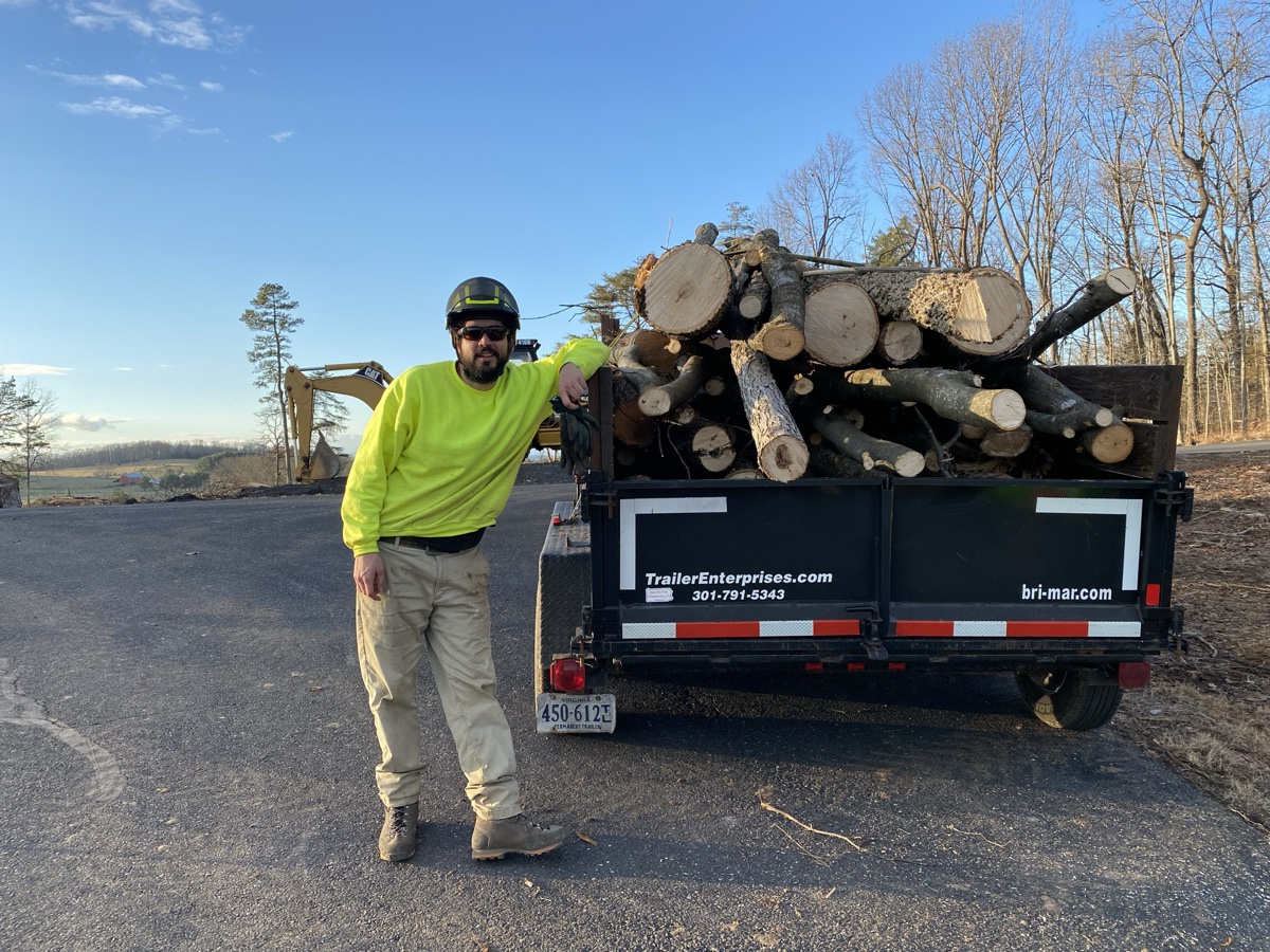Professional arborist work in Crozet, VA
