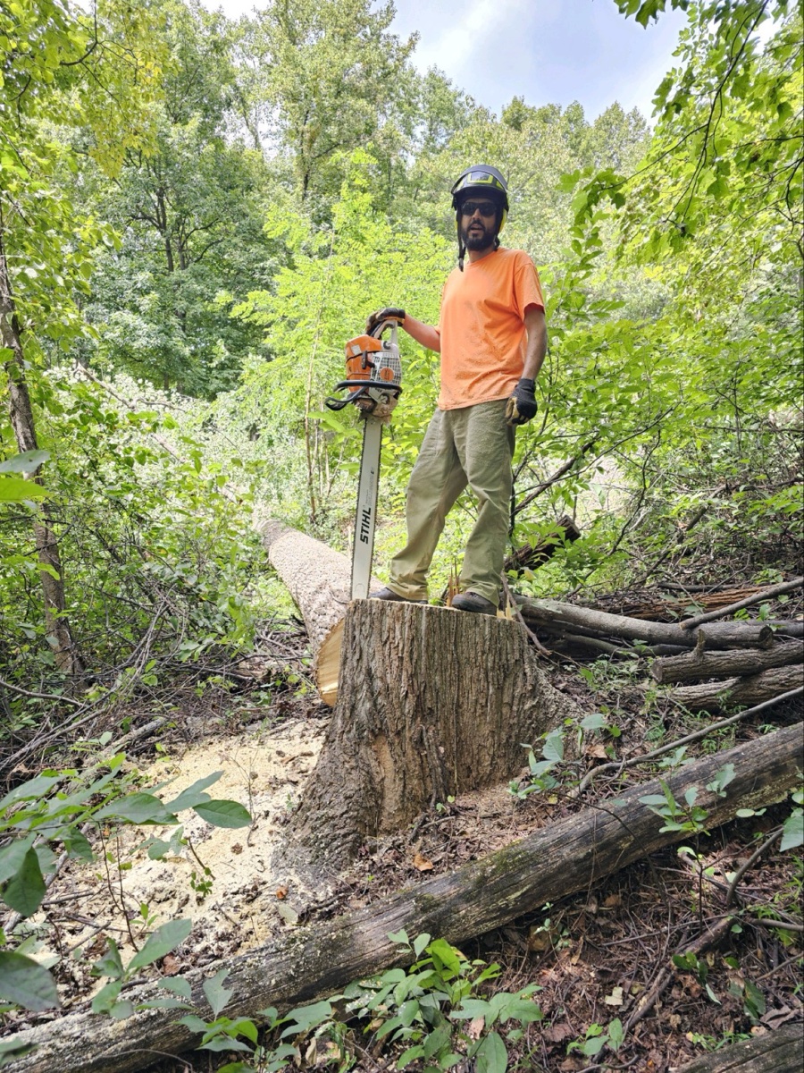 Professional tree trimming in Central Virginia