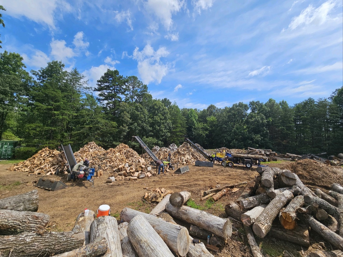 Professional tree work in Crozet area