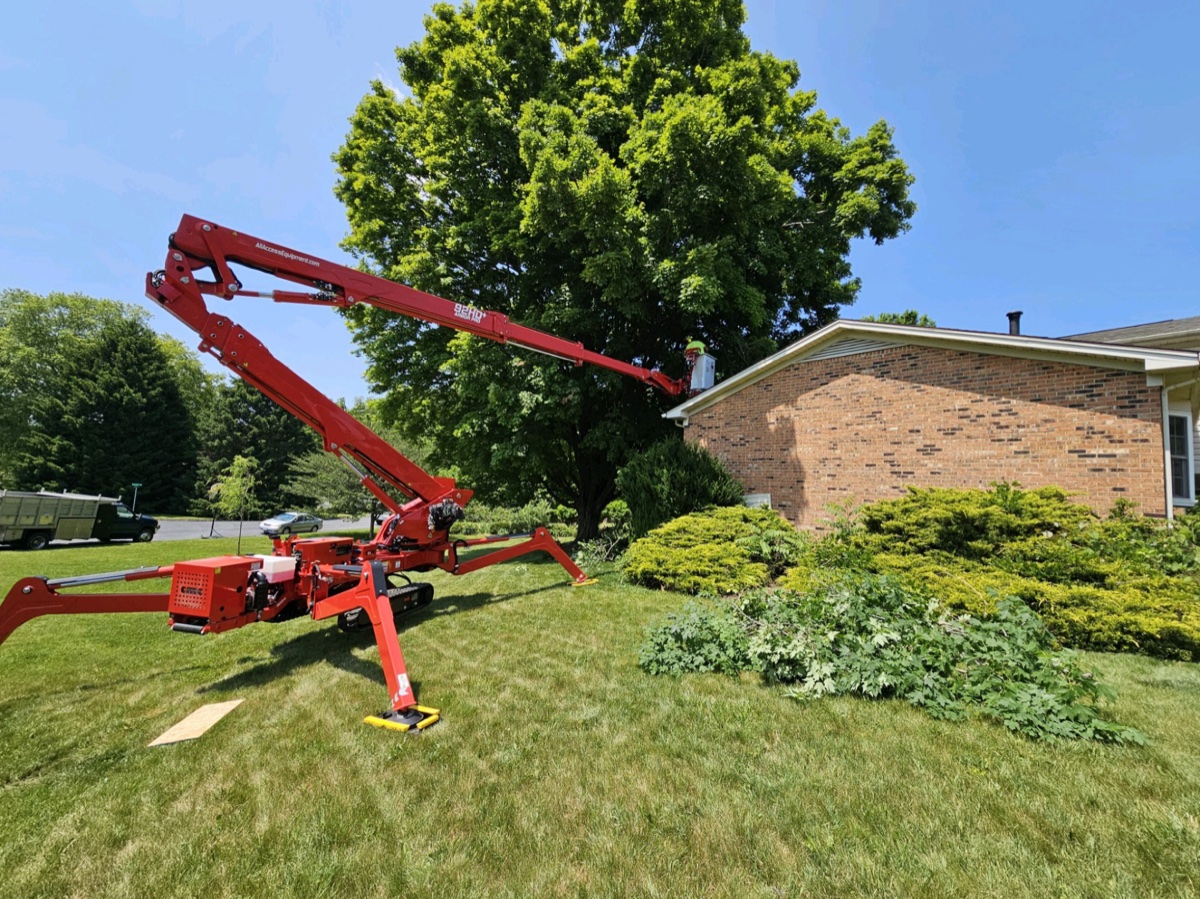 Tree removal specialist in Charlottesville